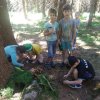 IMG-20170622-WA0003