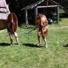 IMG-20170622-WA0027