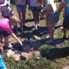IMG-20170622-WA0029