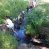 IMG-20170622-WA0038