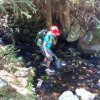 IMG-20170622-WA0044