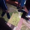 IMG-20170622-WA0053
