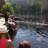 IMG-20170622-WA0061