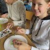 IMG_2556