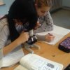 IMG_20170105_143017