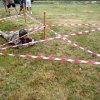 20170627_121808