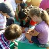 IMG_20160913_085658