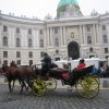 IMG_4014
