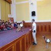 img_3453