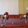 img_3471