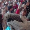img_20171103_084220