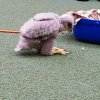 20180529_105023
