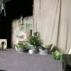 wp_20171221_007