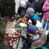 img_20171116_093408