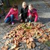IMG_20171013_120848
