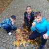 IMG_20171013_120905