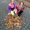 IMG_20171013_121029