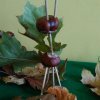 IMG_20171020_140948
