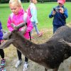 IMG_6237