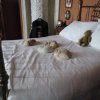 img_20171211_110516
