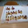 IMG_20171020_122225