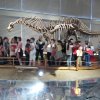 img_20180509_094733