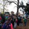 IMG_20171019_121516