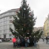 IMG_4485
