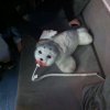 img-20180109-wa0006