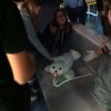 img-20180109-wa0007