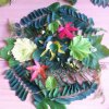 IMG-20171015-WA0001