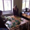 IMG-20171015-WA0002