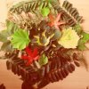 2017-10-12-PHOTO-00000002(1)