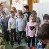 img_5226