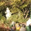 IMG_20181016_092120
