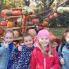 IMG_20181016_100545