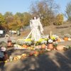 IMG_20181016_100755