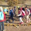 IMG_20181016_101100