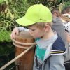 IMG_20181016_111306