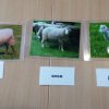 IMG_20190305_121320