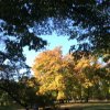 img-20181011-wa0009