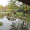 img_7010