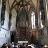img_9688