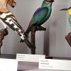 IMG_20190321_101547