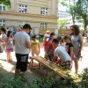 IMG_7657
