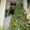 IMG_7025