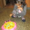 img_7100