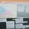 IMG_20191119_120414