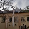 20191116_100710