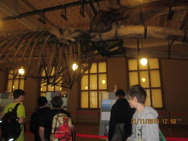 img 0180